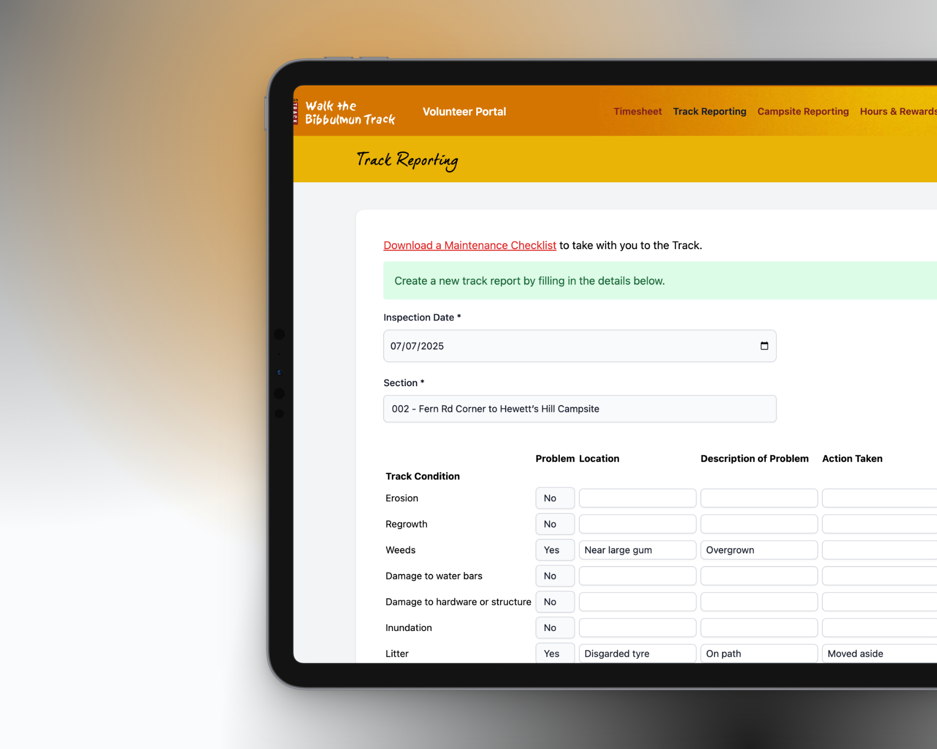 Volunteer timesheet entry